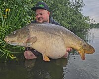 Pop Ups - Banana Joe