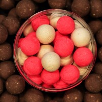 Pop Ups – Salty Sea & Spicy Garlic 12mm