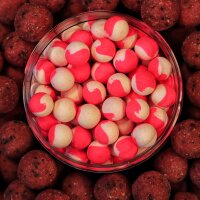 Pop Ups - Sweet Tigers & Bloody Worms