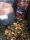 Red Krill & Tuna Bait Activator
