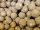 Caramel Cream & Nuts Bait Activator