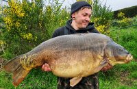 Futterboilies Frucht-Mix