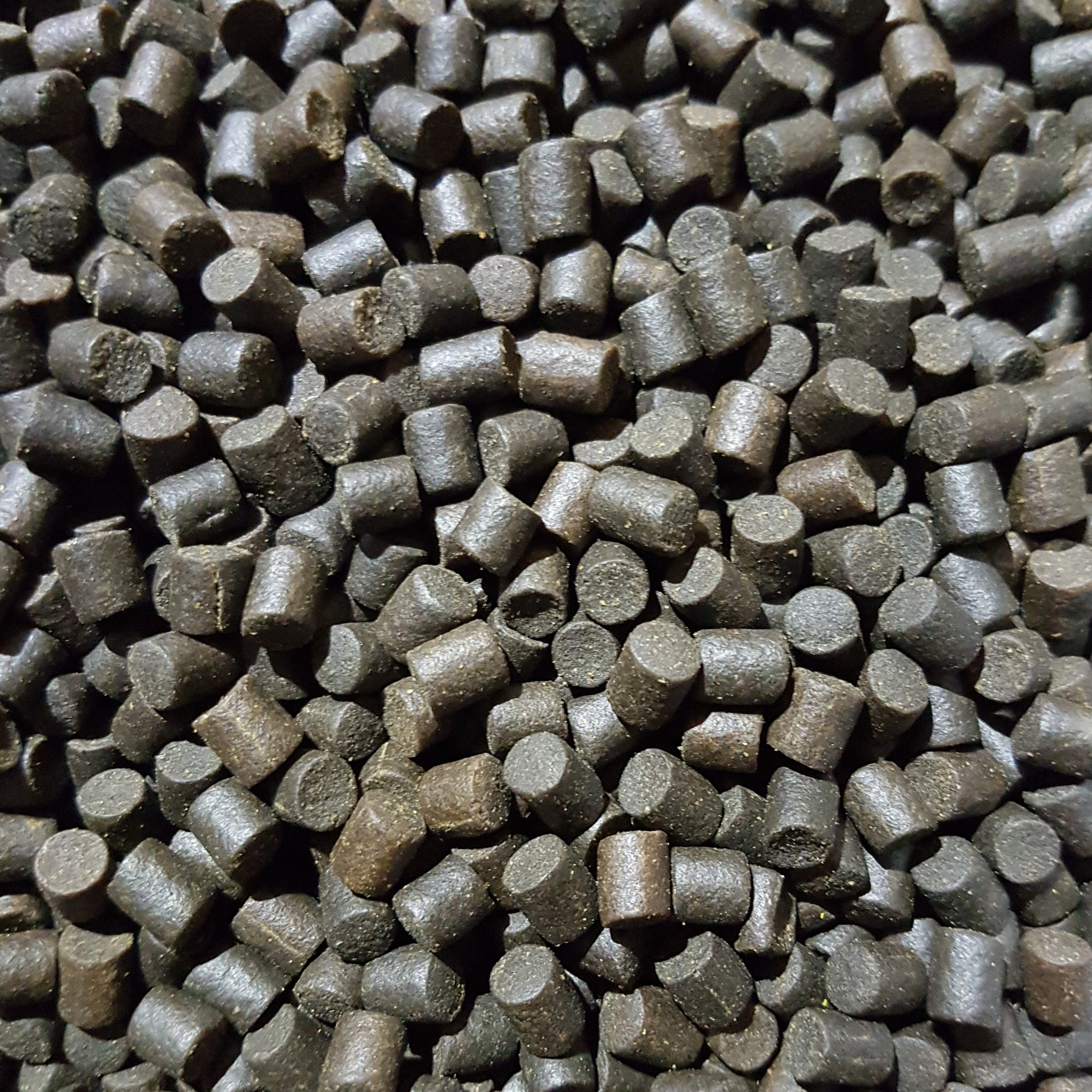 Marine Halibut Pellets ALLE Größen (Durchmesser=12mm, Inhalt=5Kg (3,20€ je Kg)) – Karpfenköder