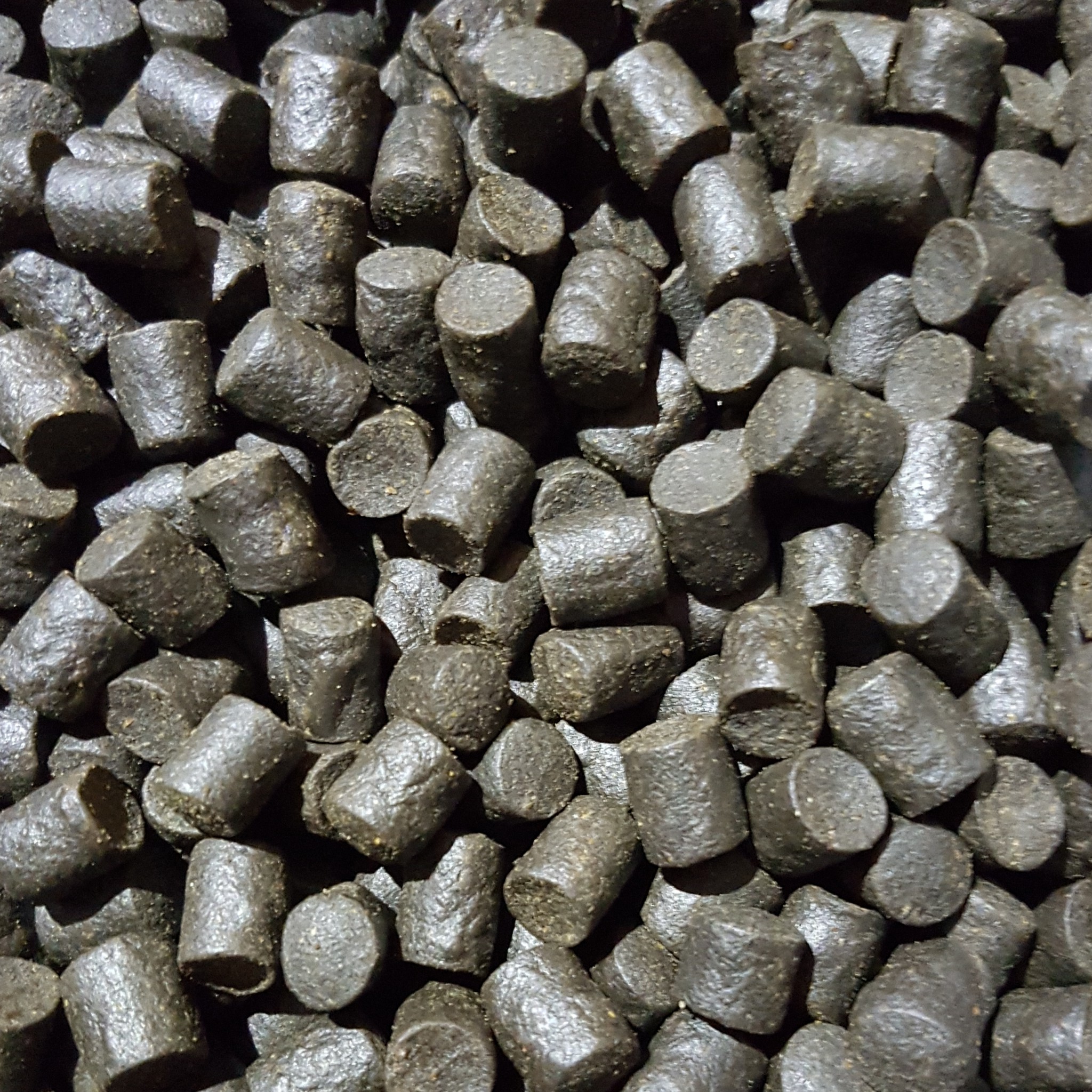 Marine Halibut Pellets ALLE Größen (Durchmesser=12mm, Inhalt=5Kg (3,20€ je Kg)) – Karpfenköder
