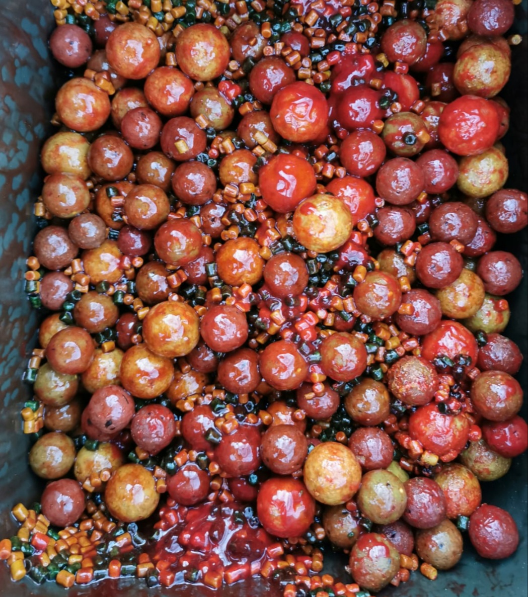 Bloodworm