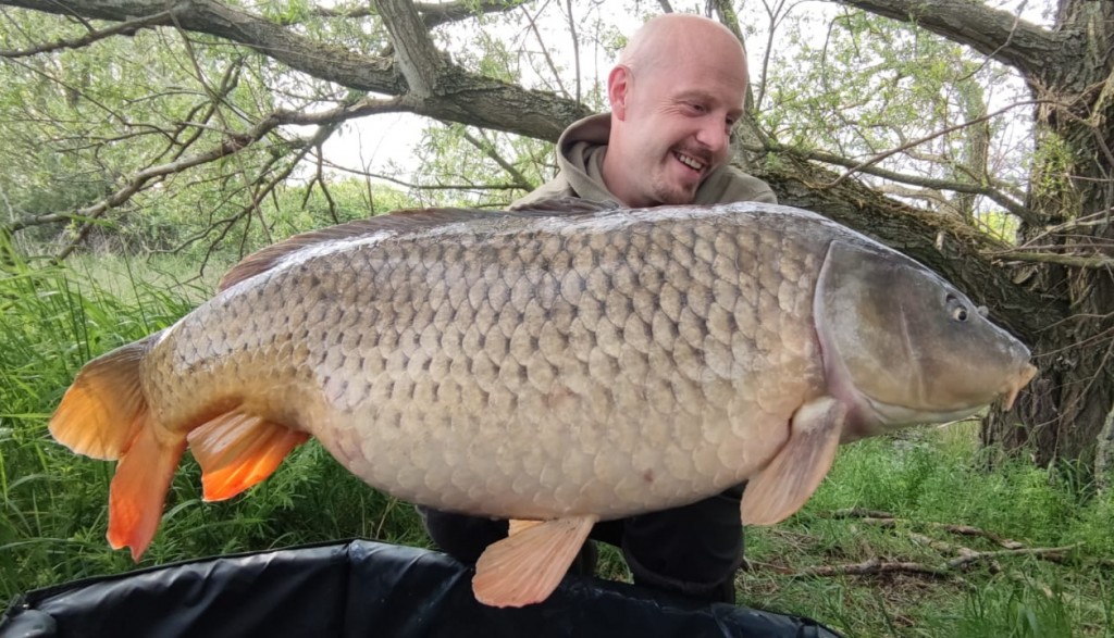 Futterboilies Fish & Krill – Karpfenköder