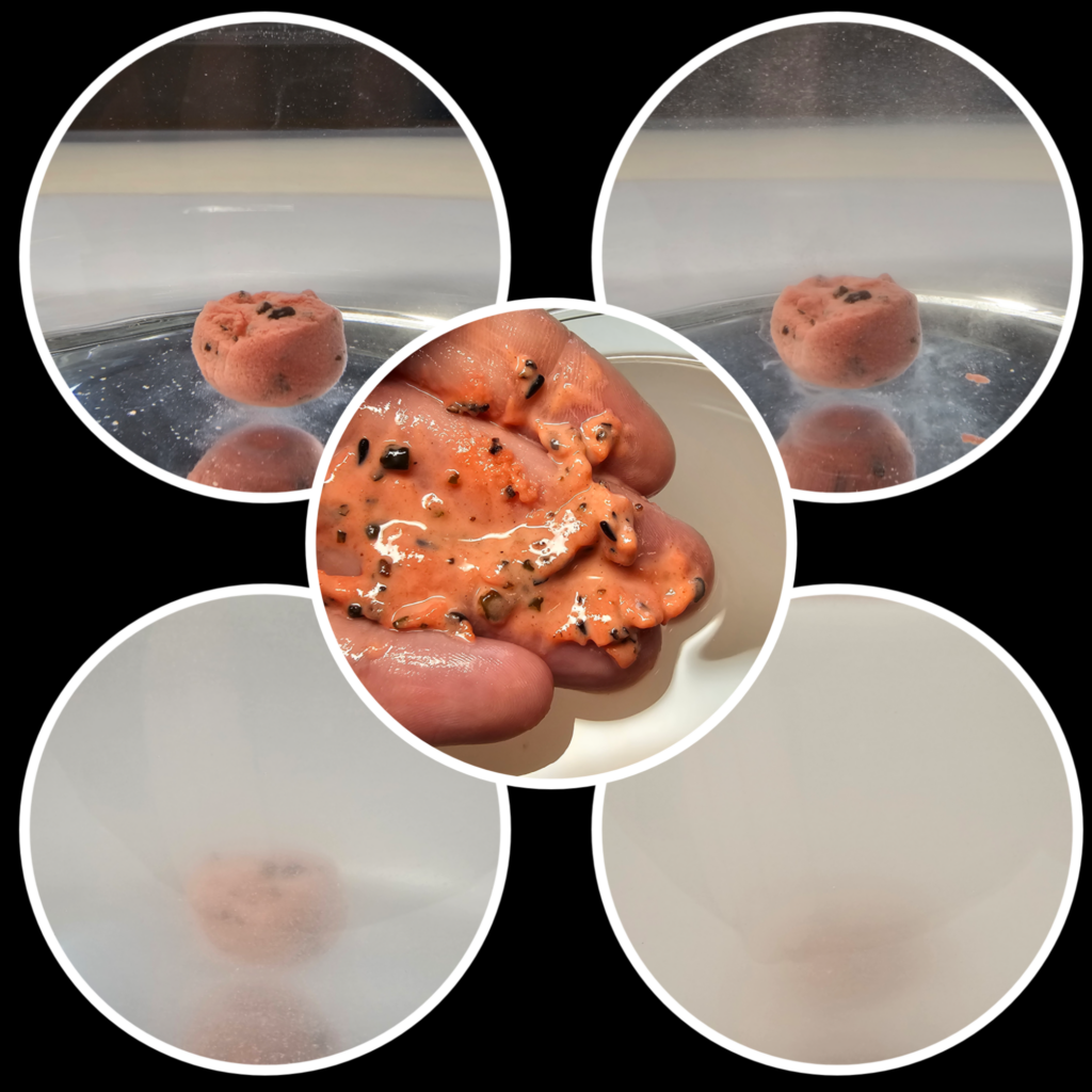 Universal Sweet & Fruit – Bait Paste /“Teig“ – Karpfenköder