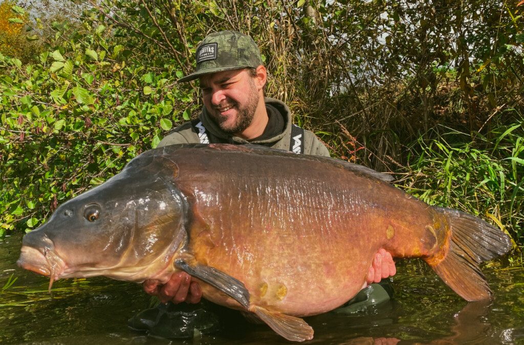 Pop Ups - Big Water Selection – Karpfenköder