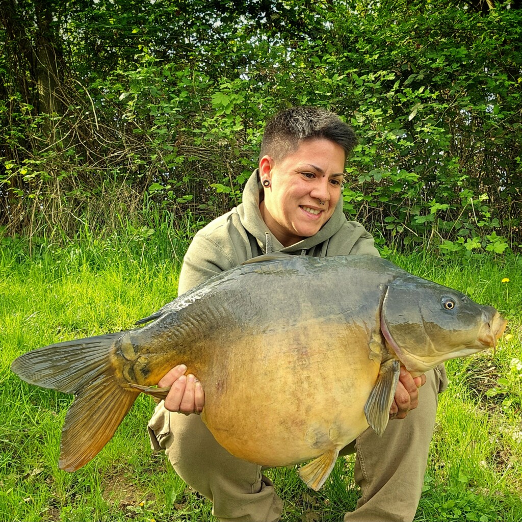 Futterboilies Fish & Krill – Karpfenköder