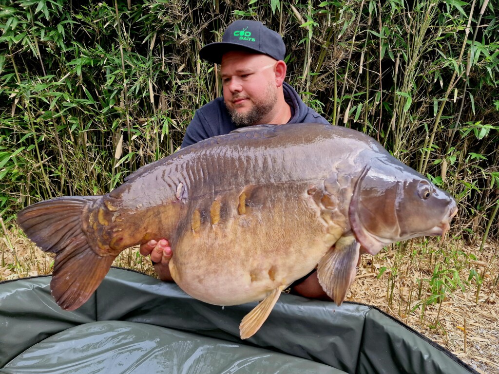 Sweet Dream – Karpfenköder