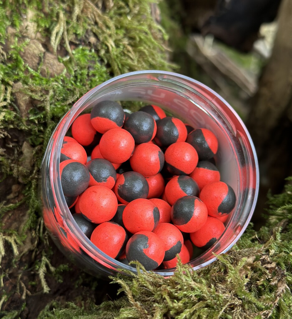 Pop Ups - Bloodworm & Krill (Durchmesser=16mm) – Karpfenköder